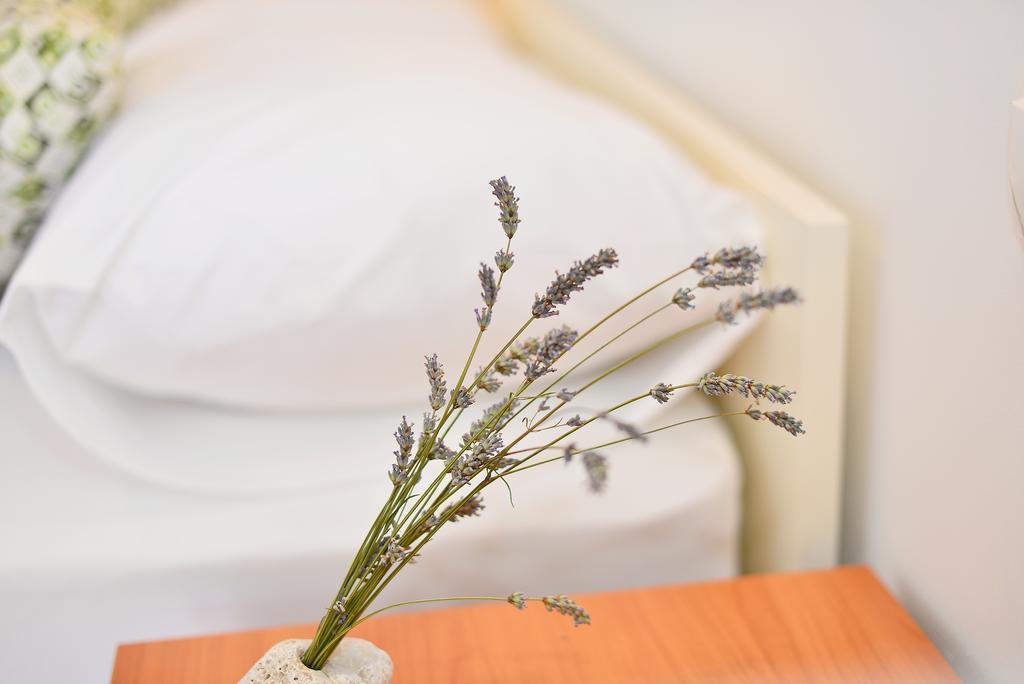Apartments Juka Hvar Town Chambre photo